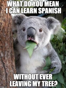 Learn Spanish On Your Own